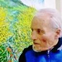 Gaetano Minale Detto  Il Molisano  sells paintings online