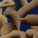 Gianni Cappelletti sells paintings online