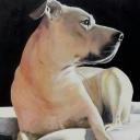 Lucasanna sells paintings online