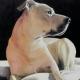 Lucasanna sells paintings online