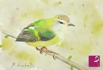 sold painting on PitturiAmo