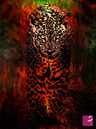 sold painting on PitturiAmo