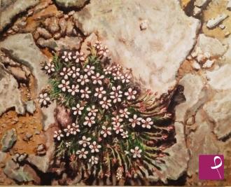 sold painting on PitturiAmo