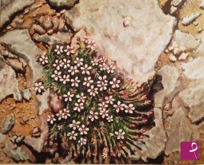 sold painting on PitturiAmo