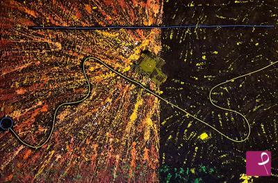 sold painting on PitturiAmo