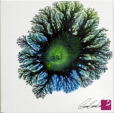 sold painting on PitturiAmo