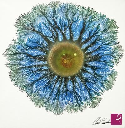 sold painting on PitturiAmo