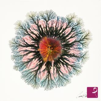 sold painting on PitturiAmo