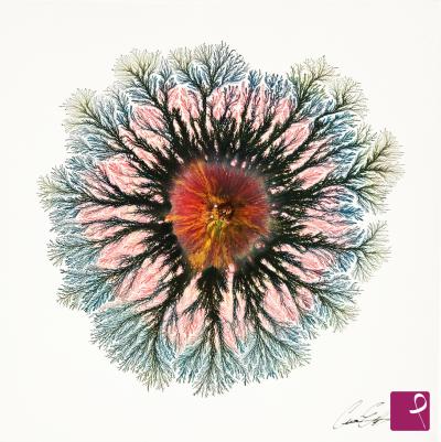 sold painting on PitturiAmo