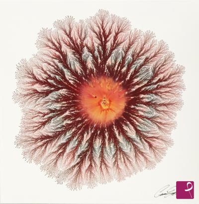 sold painting on PitturiAmo
