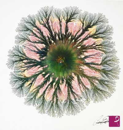 sold painting on PitturiAmo
