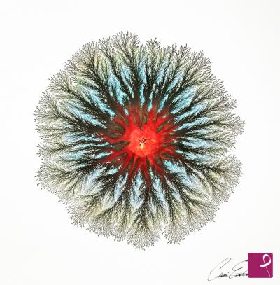 sold painting on PitturiAmo
