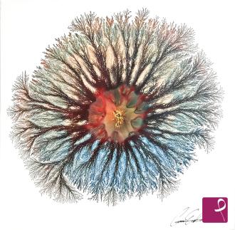 sold painting on PitturiAmo