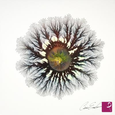 sold painting on PitturiAmo