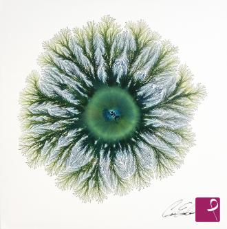 sold painting on PitturiAmo