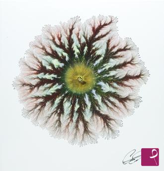 sold painting on PitturiAmo