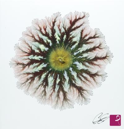 sold painting on PitturiAmo