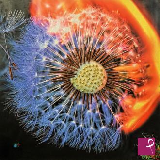 sold painting on PitturiAmo