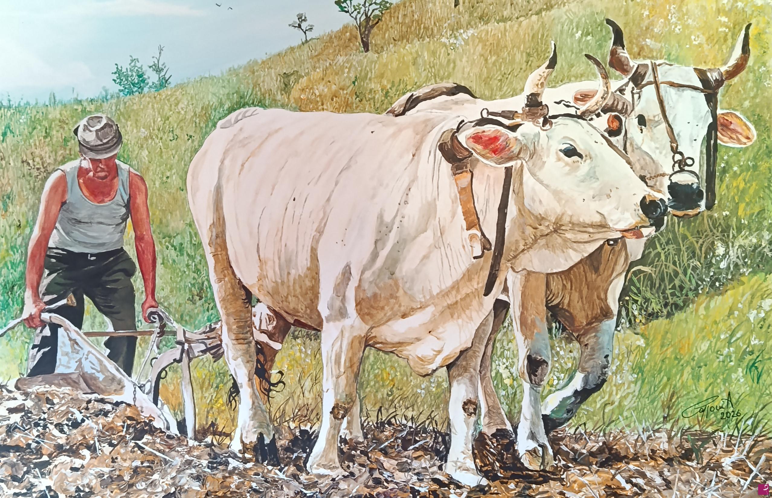 paintings on sale online