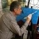 Fulvio Bresciani vende quadri online