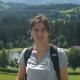 Paola Cavazzi vende quadri online