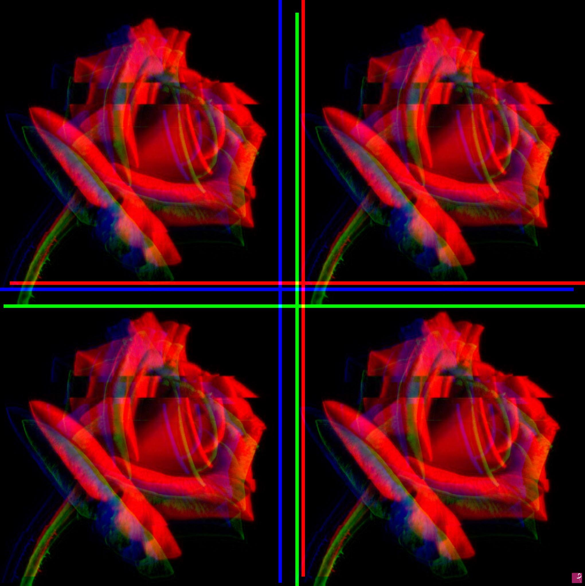 quadri in vendita online - 4 Red roses 