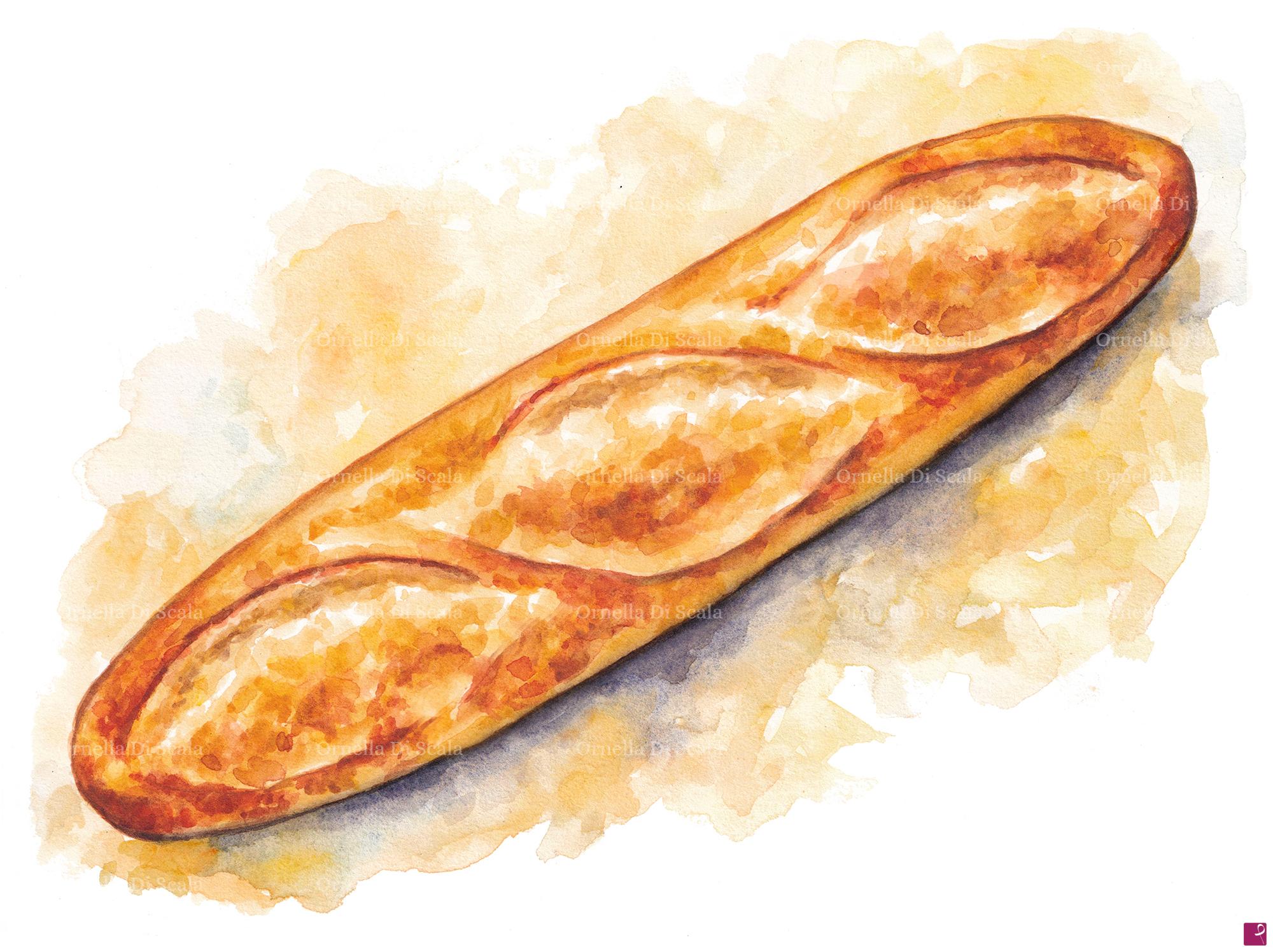 quadri in vendita online - Acquerello pane baguette francese