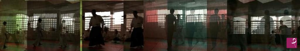 quadri in vendita online - Aikido