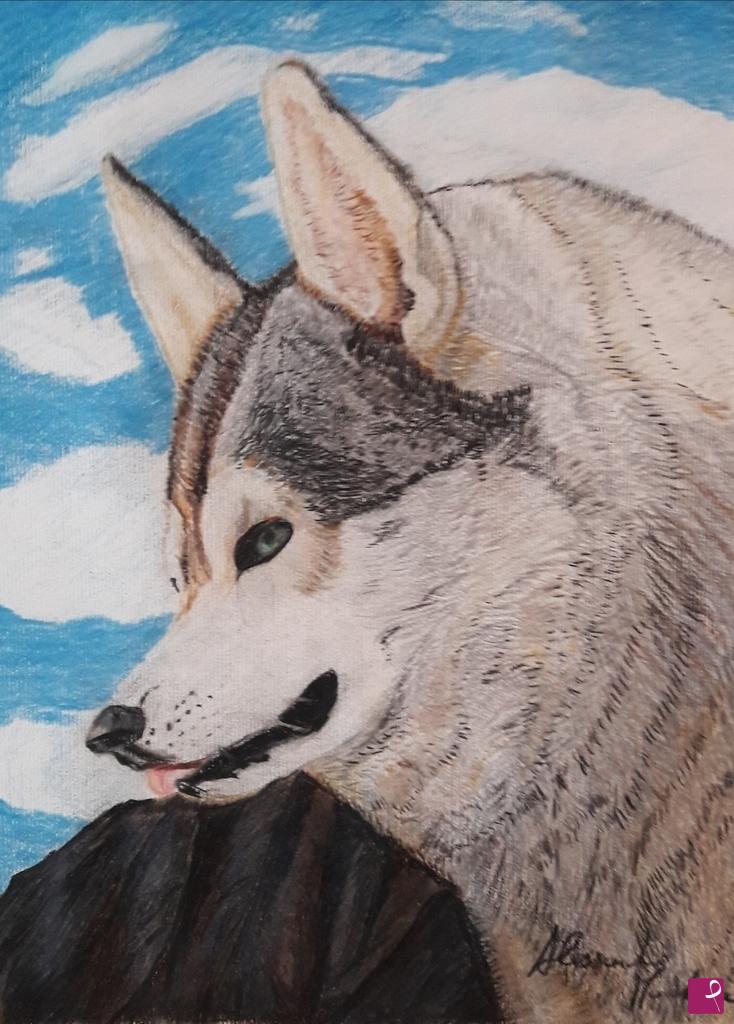 quadri in vendita online - Alaskan Malamute