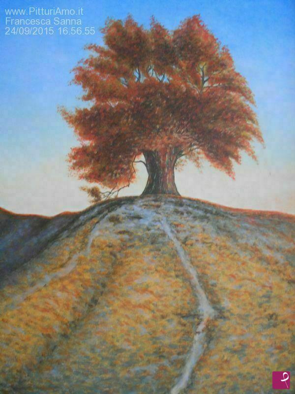 quadri in vendita online - Albero al tramonto