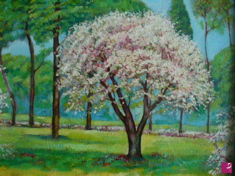 quadri in vendita online - Albero in fiore