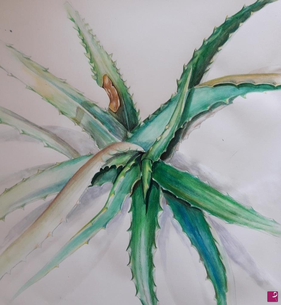 quadri in vendita online - Aloe 