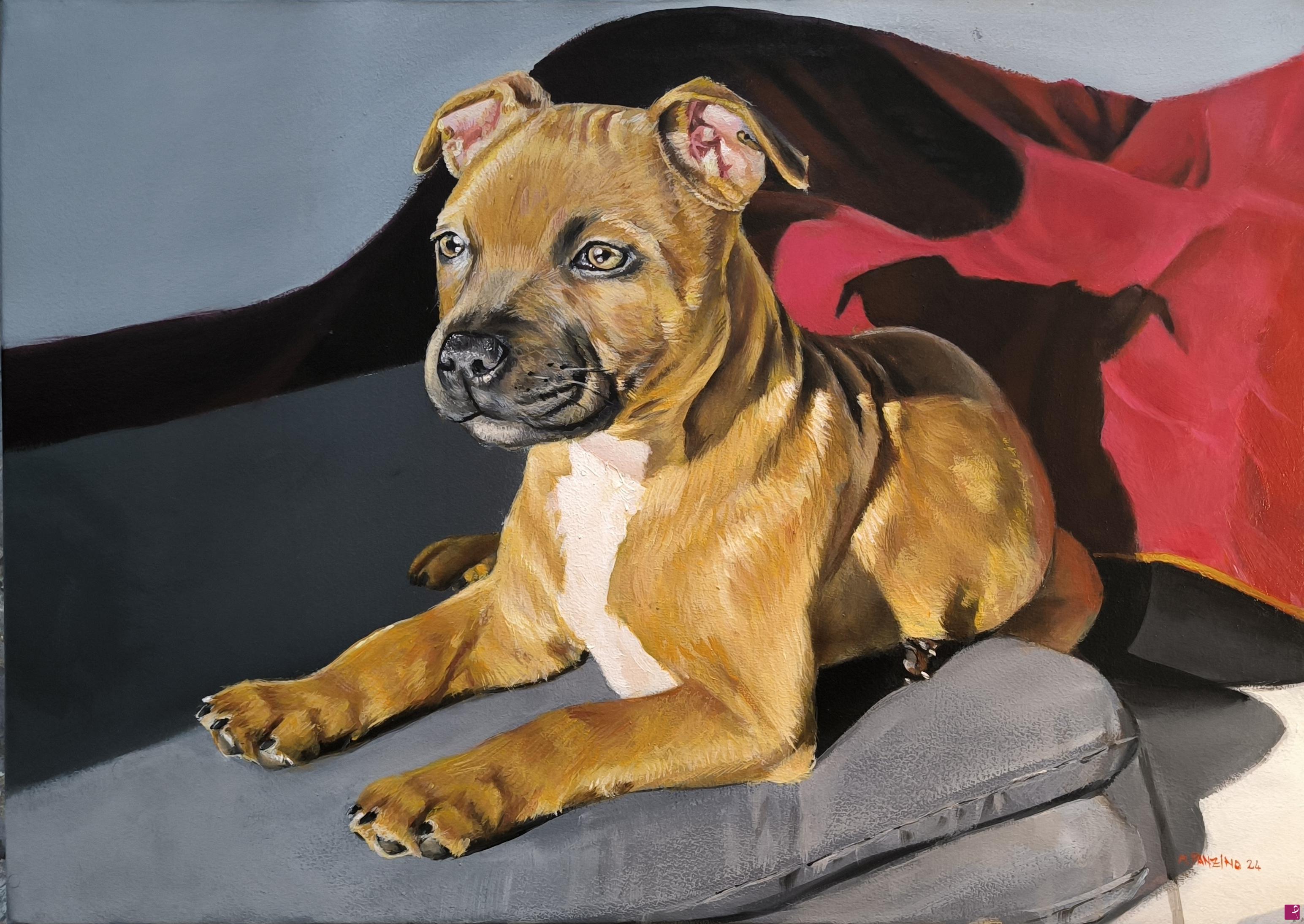 quadri in vendita online - American Staffordshire