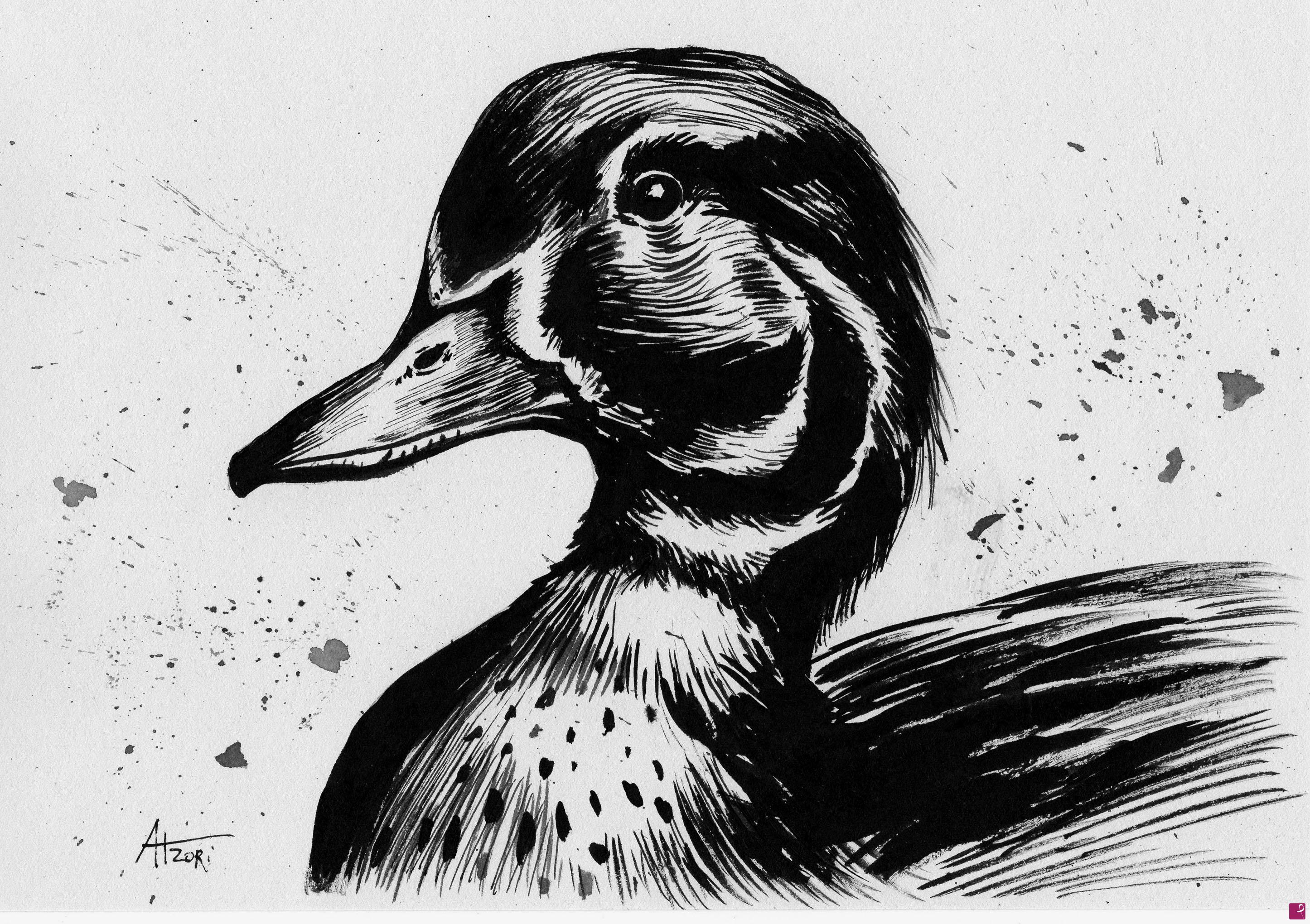 quadri in vendita online - Anatra n.1