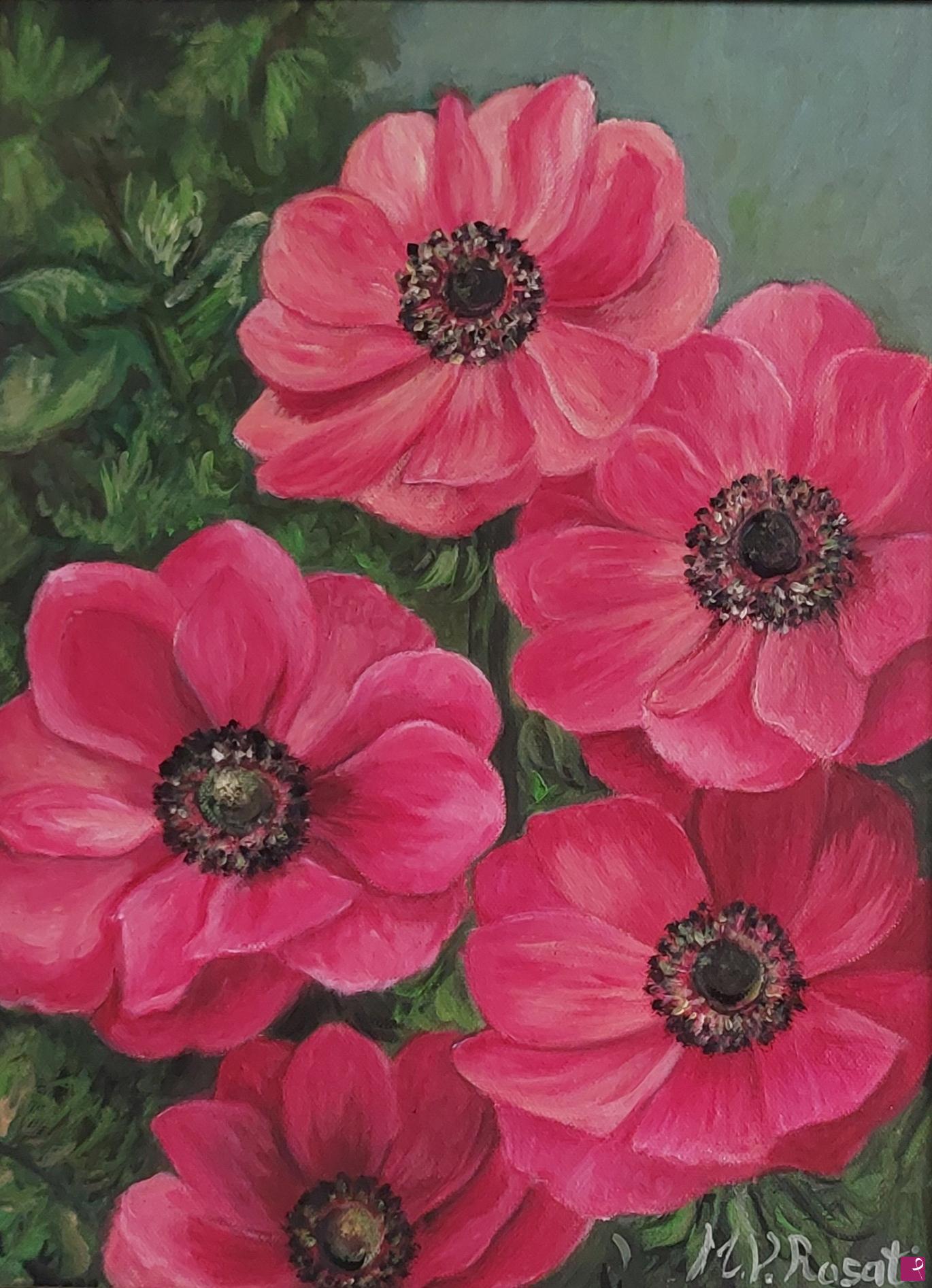 quadri in vendita online - Anemoni Sylphide 