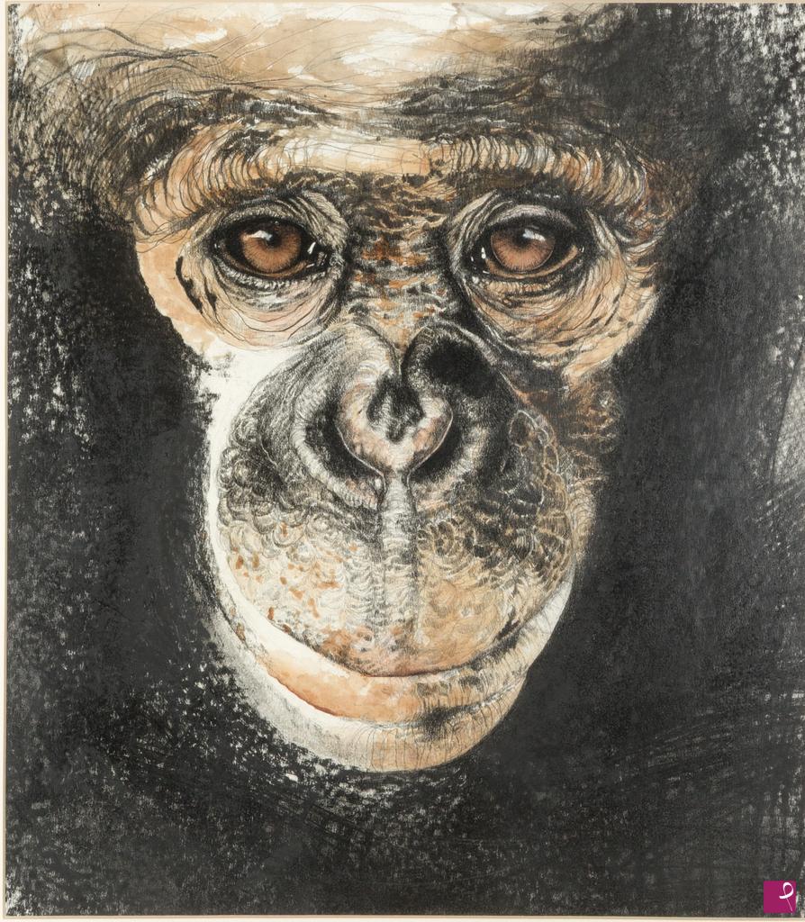 quadri in vendita online - APE
