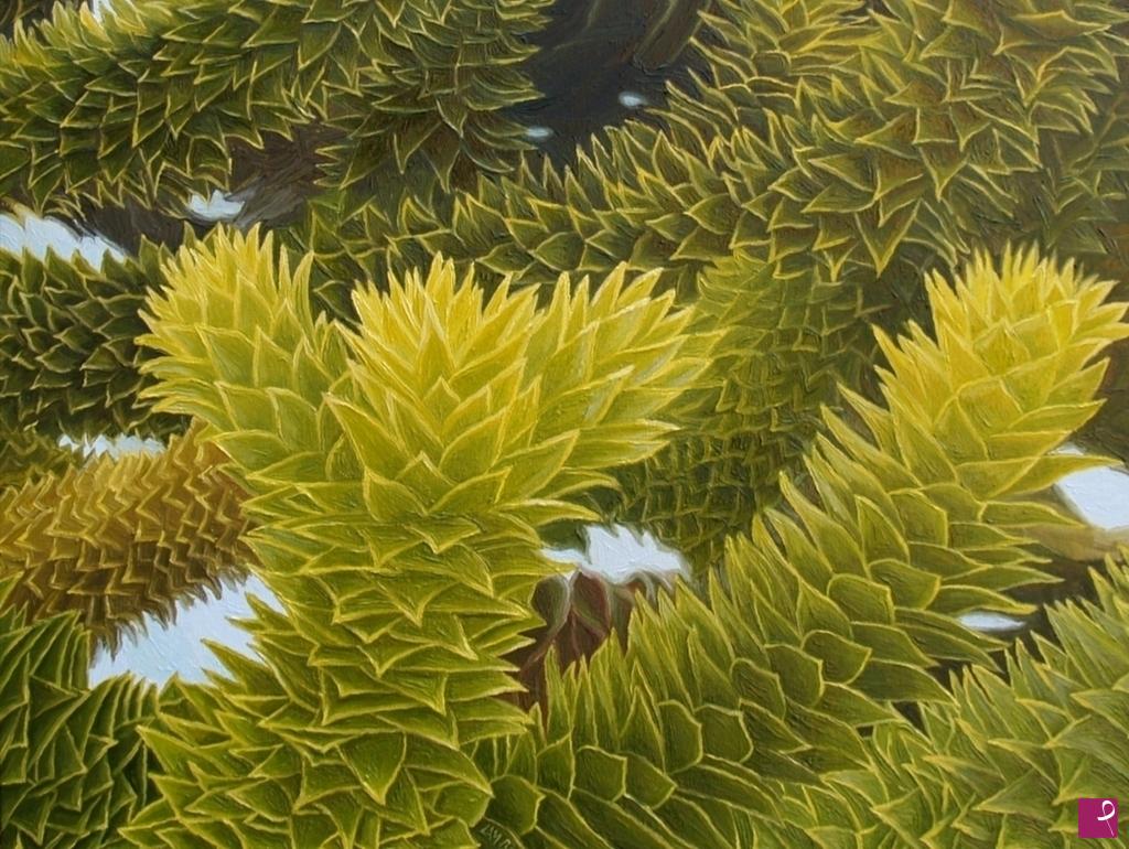 quadri in vendita online - Araucaria chilena