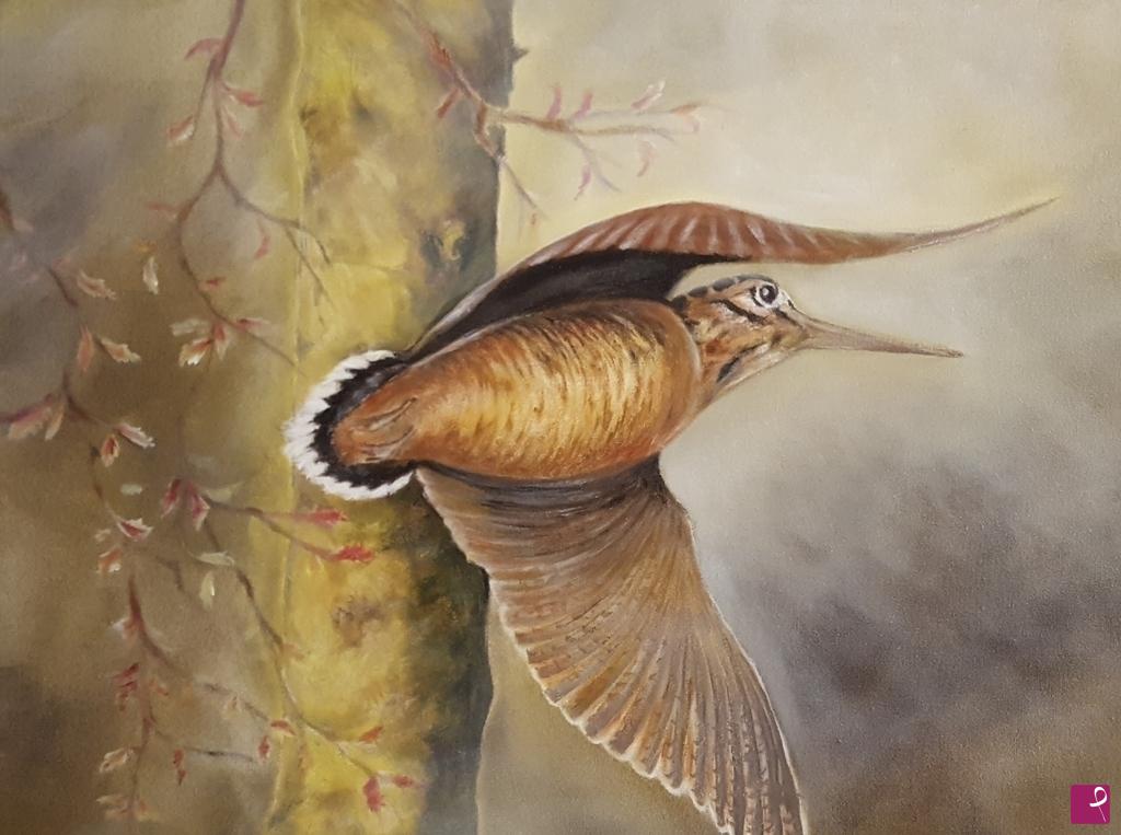 quadri in vendita online - Beccaccia in volo regina del bosco 