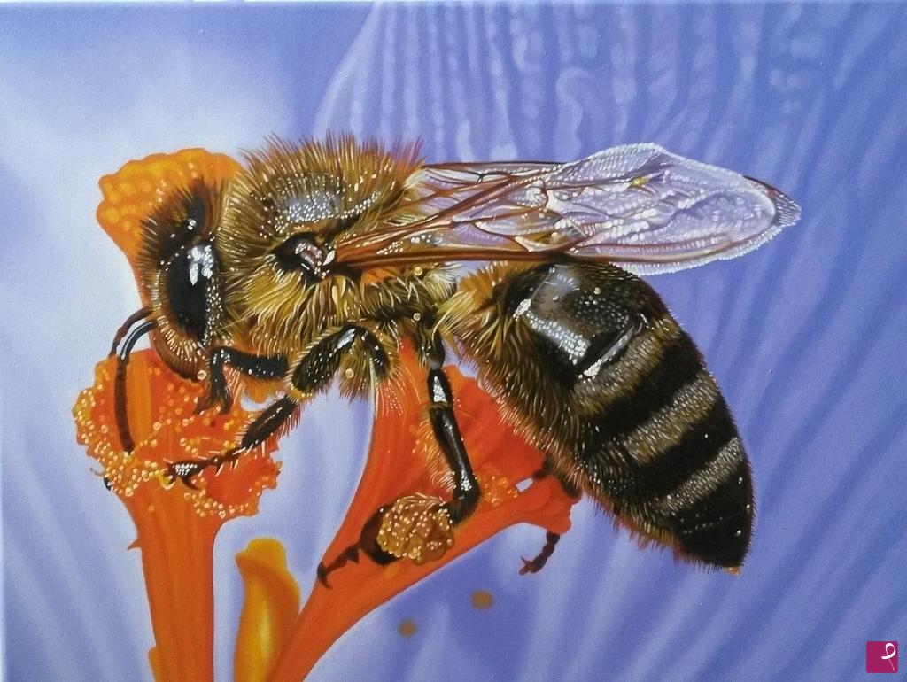 quadri in vendita online - "BEE"