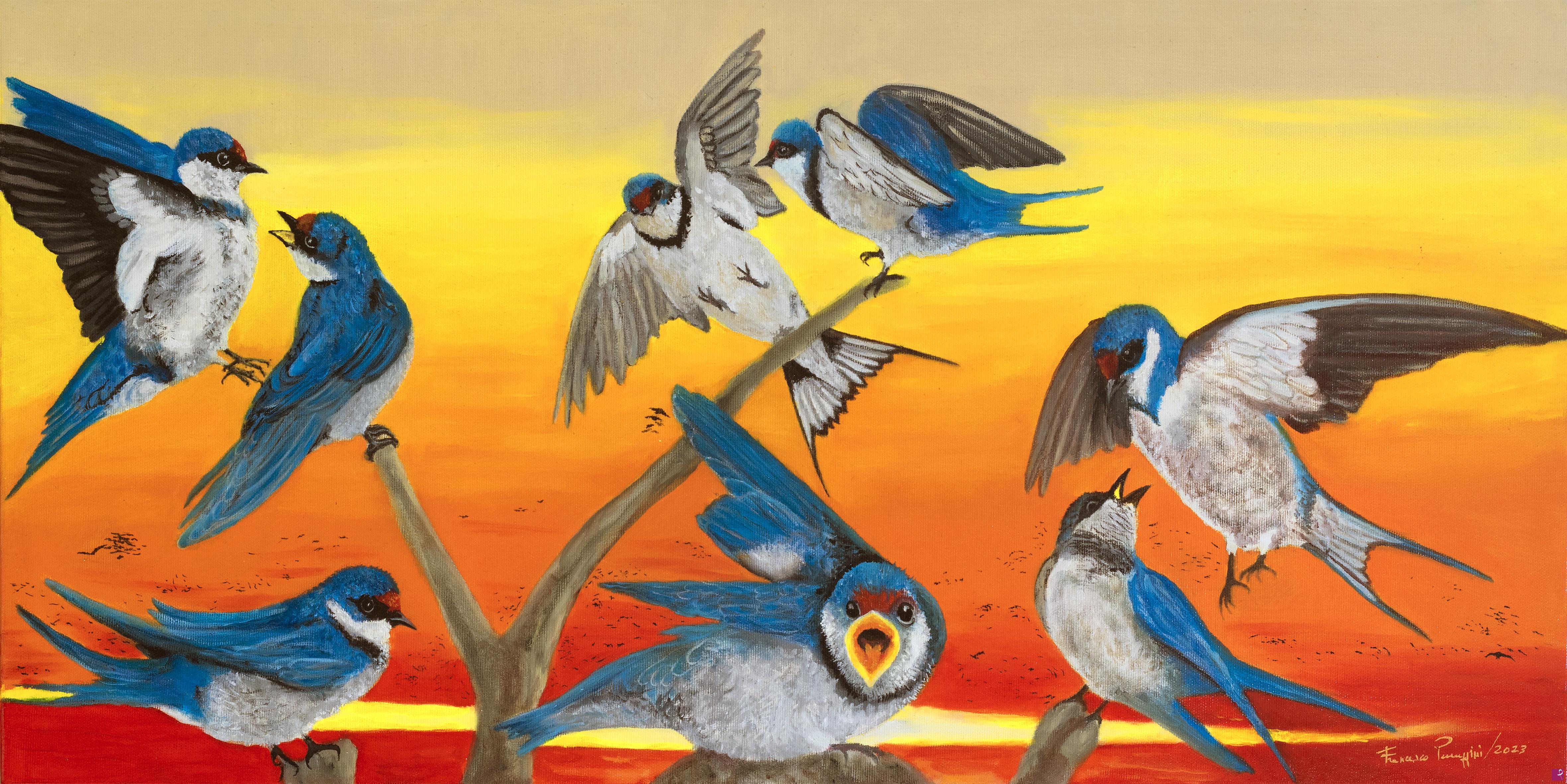 quadri in vendita online - BIRDS4