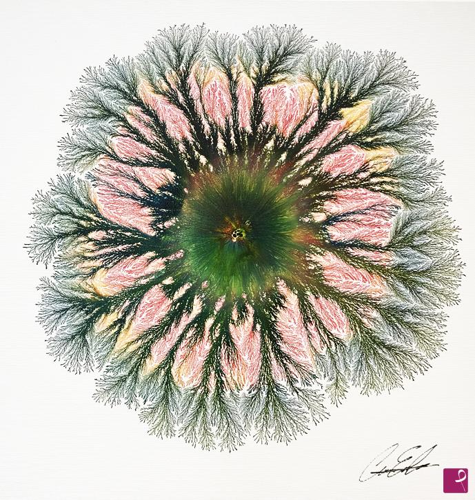 quadri in vendita online - Boreal explosion