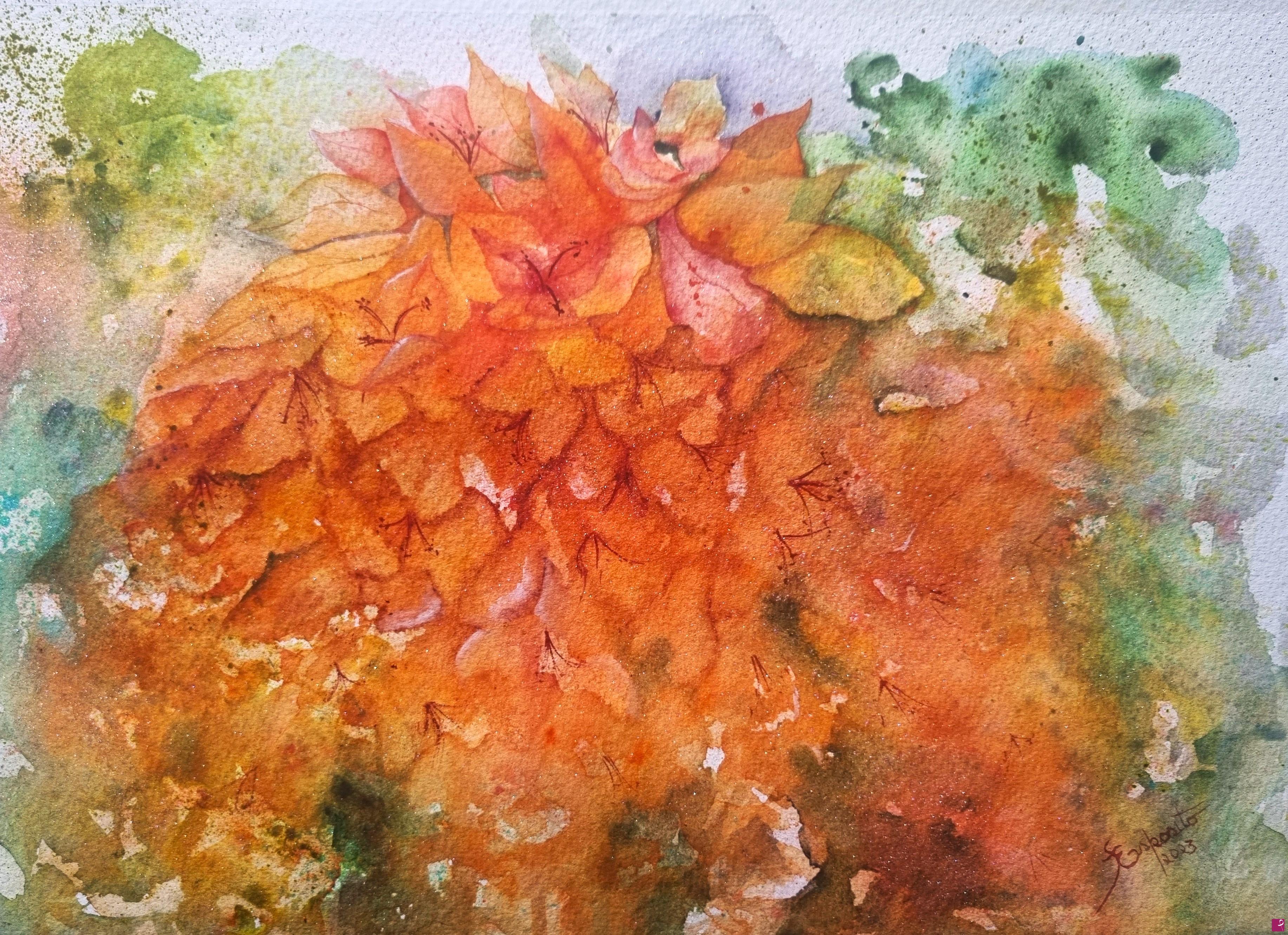 quadri in vendita online - Bougainvillea Orange