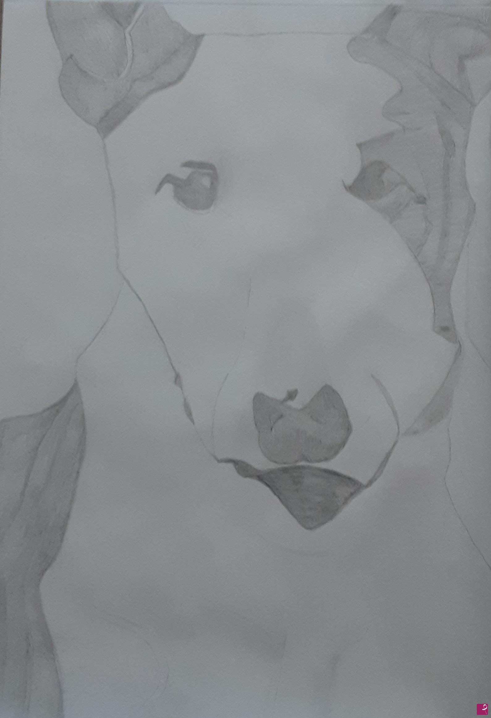 quadri in vendita online - Bull Terrier