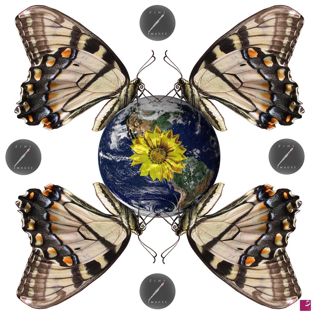 quadri in vendita online - ° Butterfly effect °