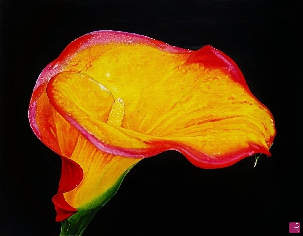 quadri in vendita online - "CALLA II"