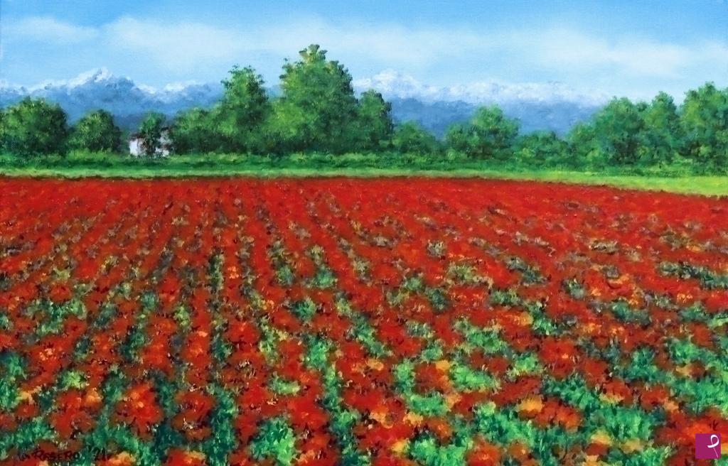 quadri in vendita online - Campo di escolzia nella campagna pancalierese