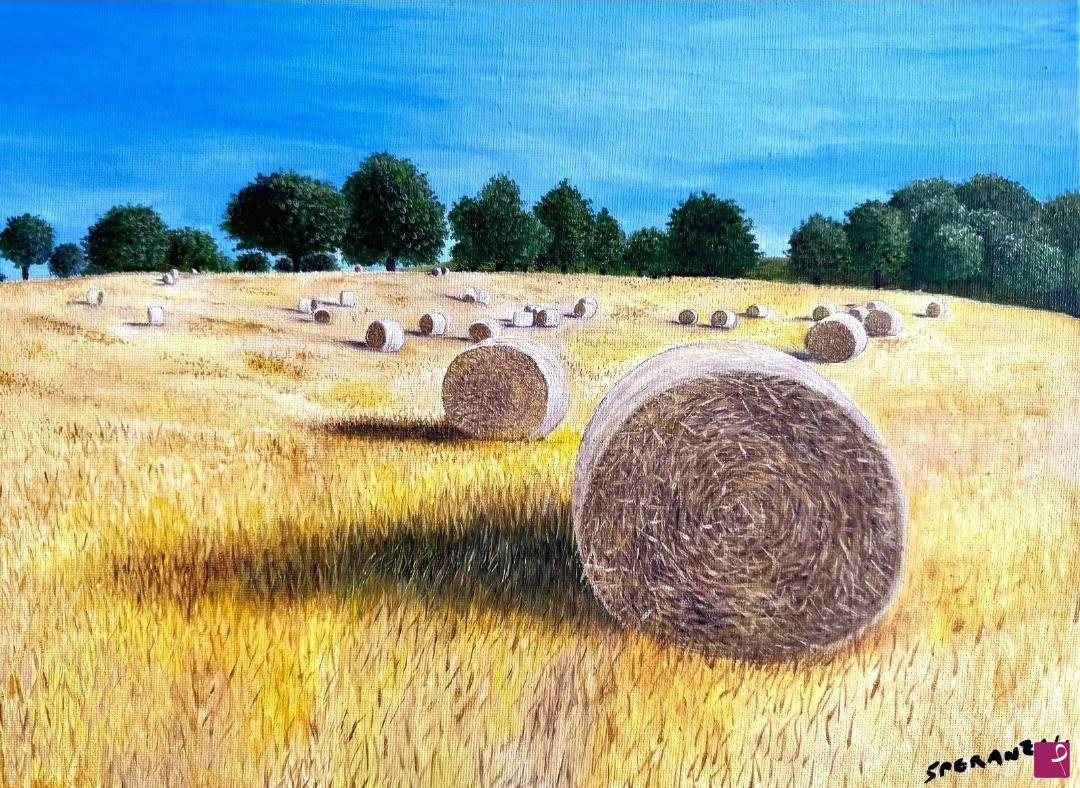 quadri in vendita online - Campo di fieno 