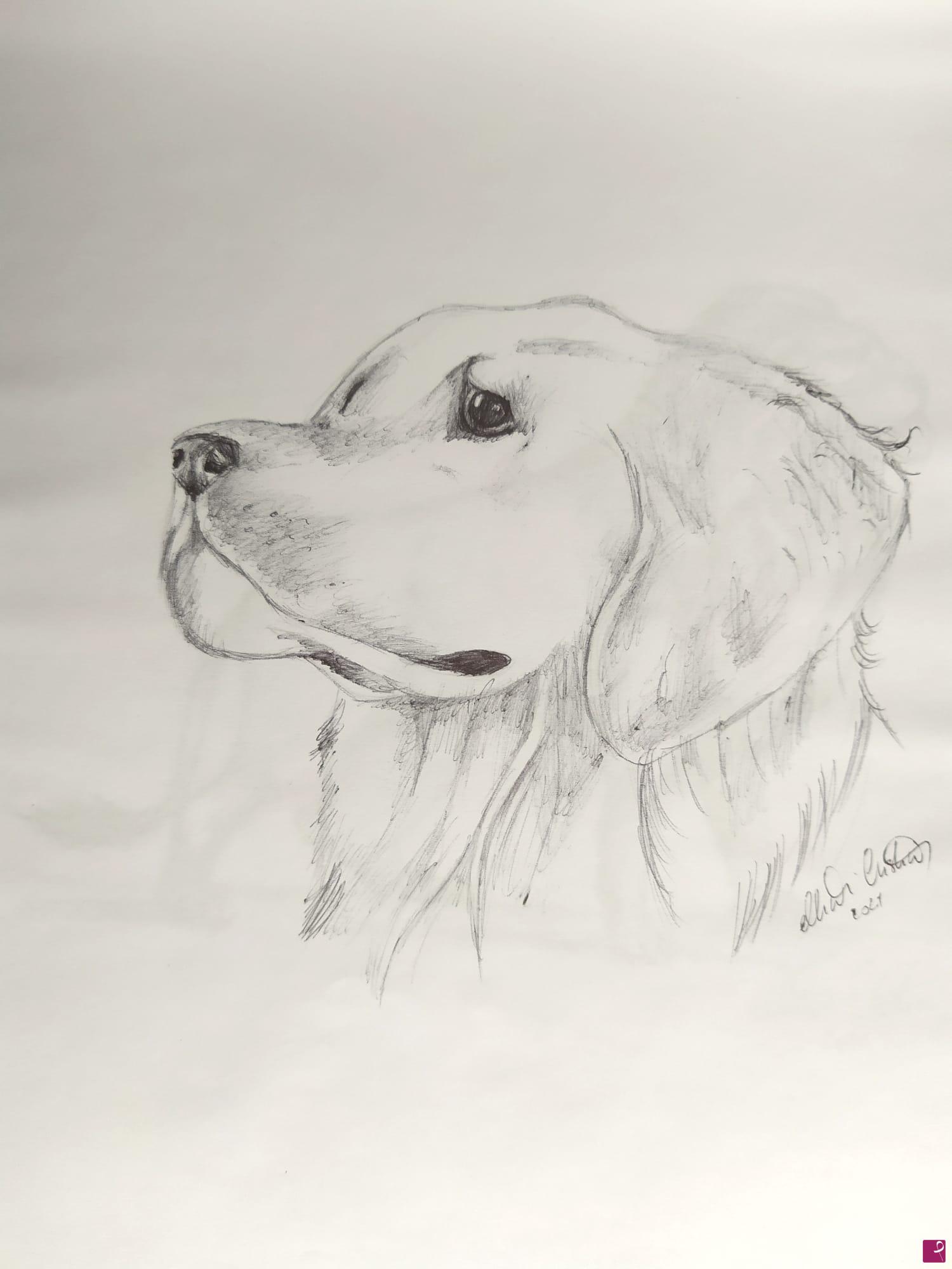 quadri in vendita online - Cane