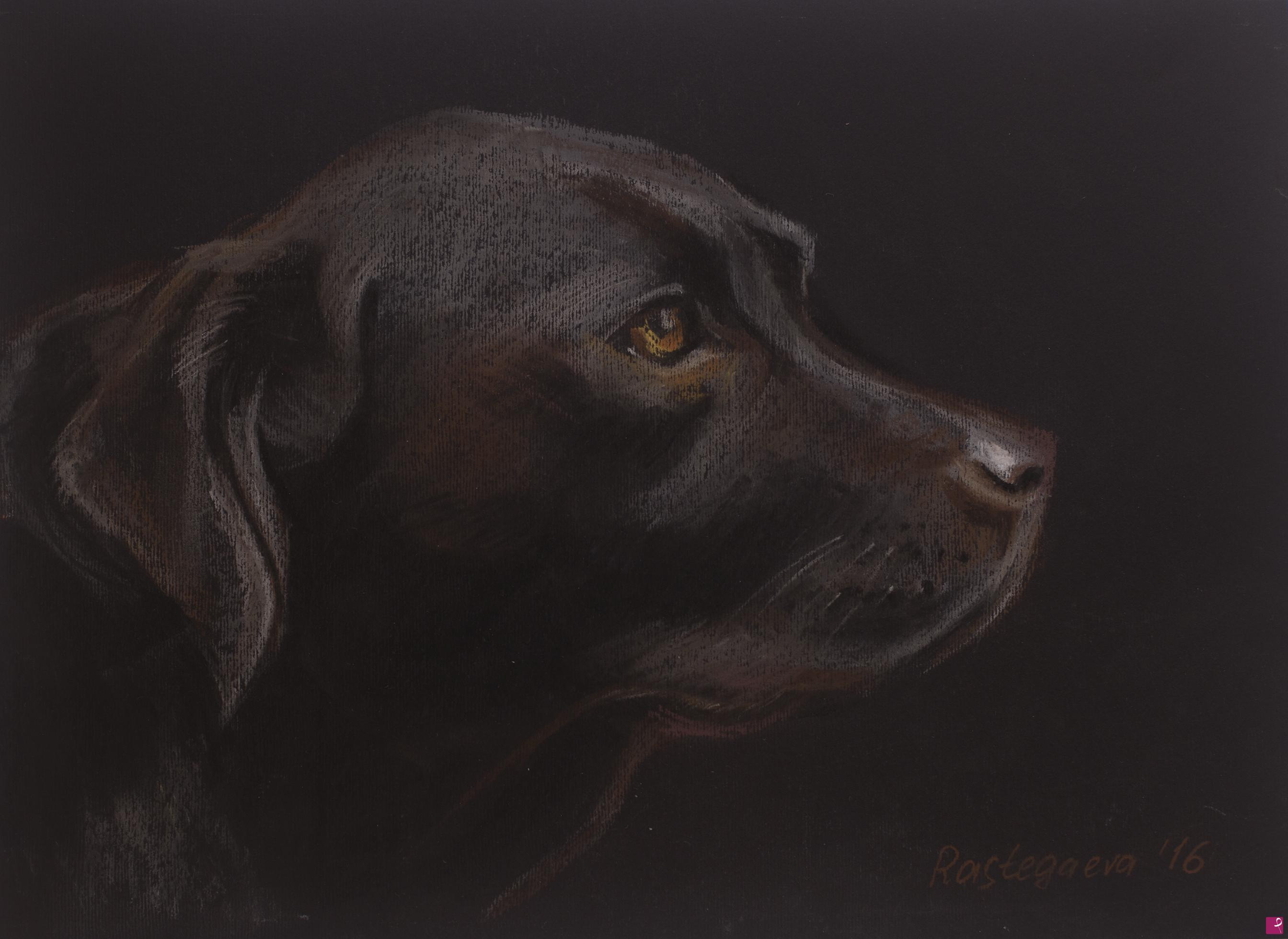 quadri in vendita online - Cane labrador