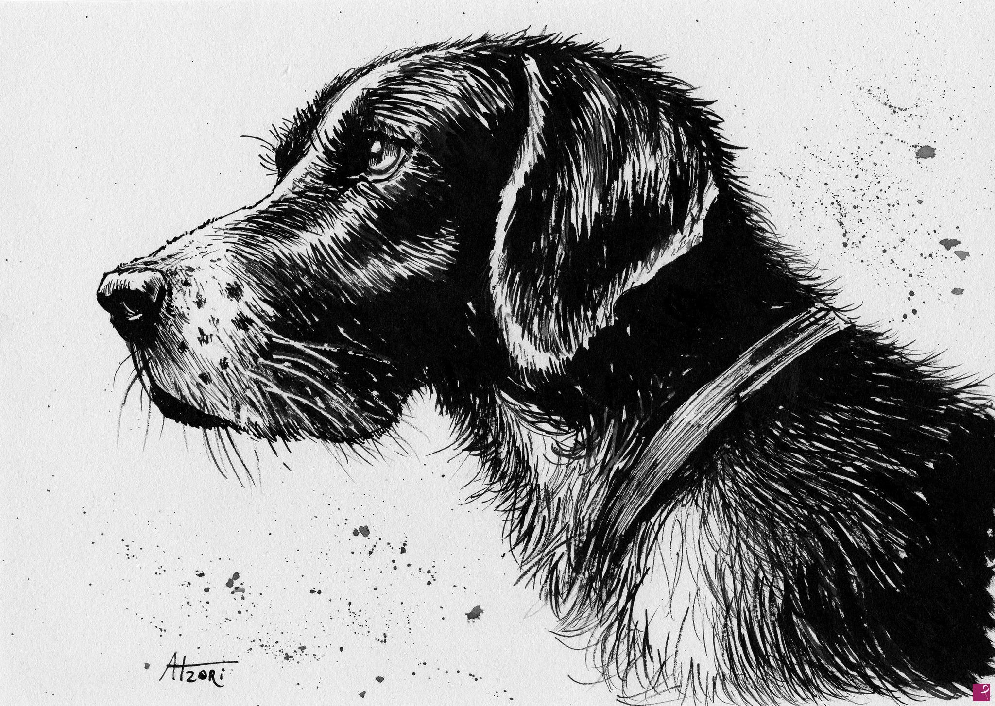quadri in vendita online - Cane n.1